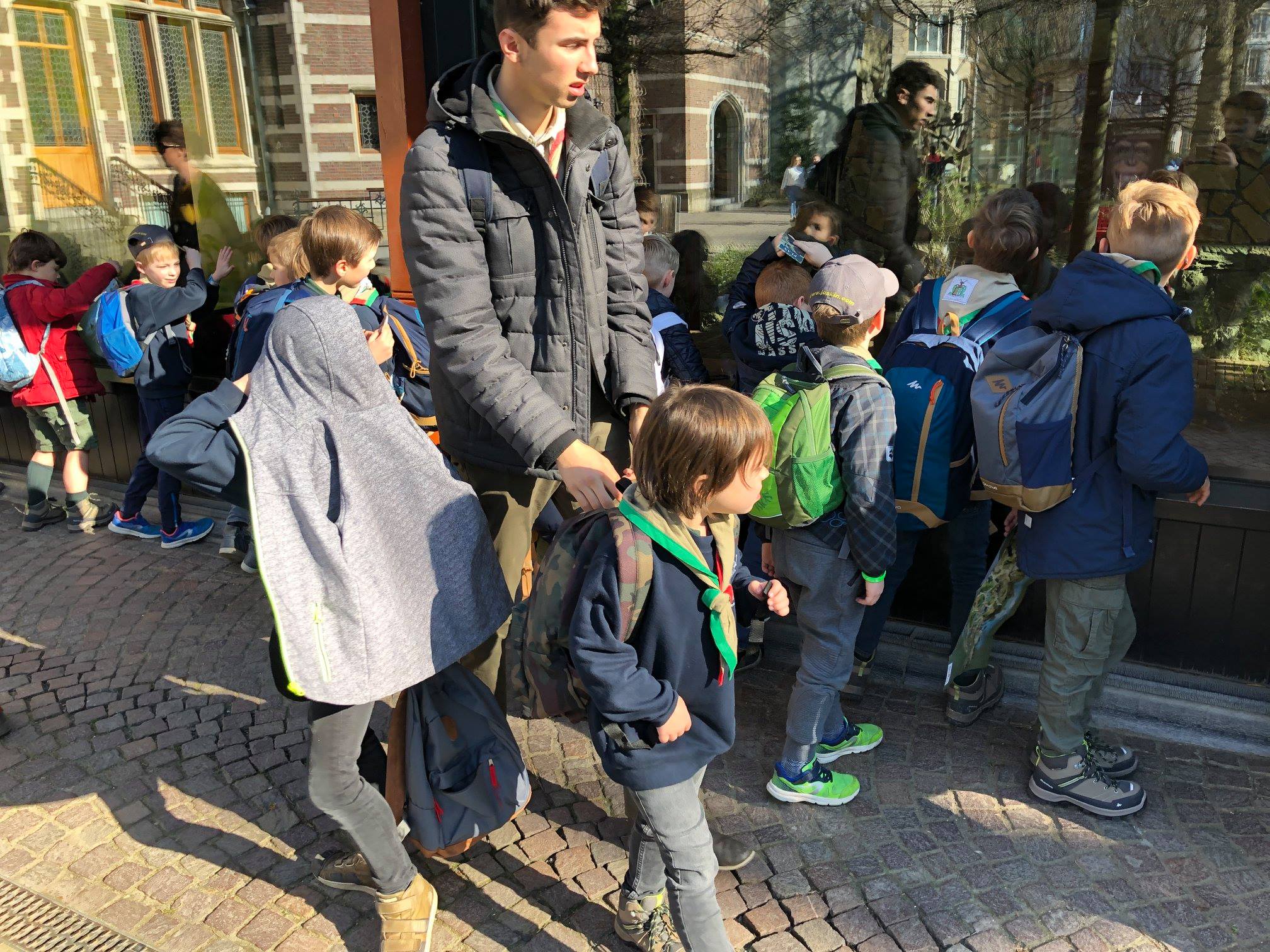 Sint-Martinus den XIIde - Zoo Antwerpen Kapoenen